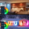 Bluetooth RGB lawn light, LED ground insertion light, mobile APP ground insertion landscape light, outdoor seven-color courtyard projector light Specification image